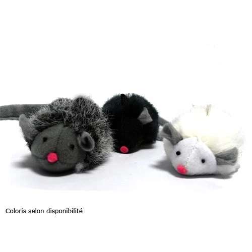 Souris couinante