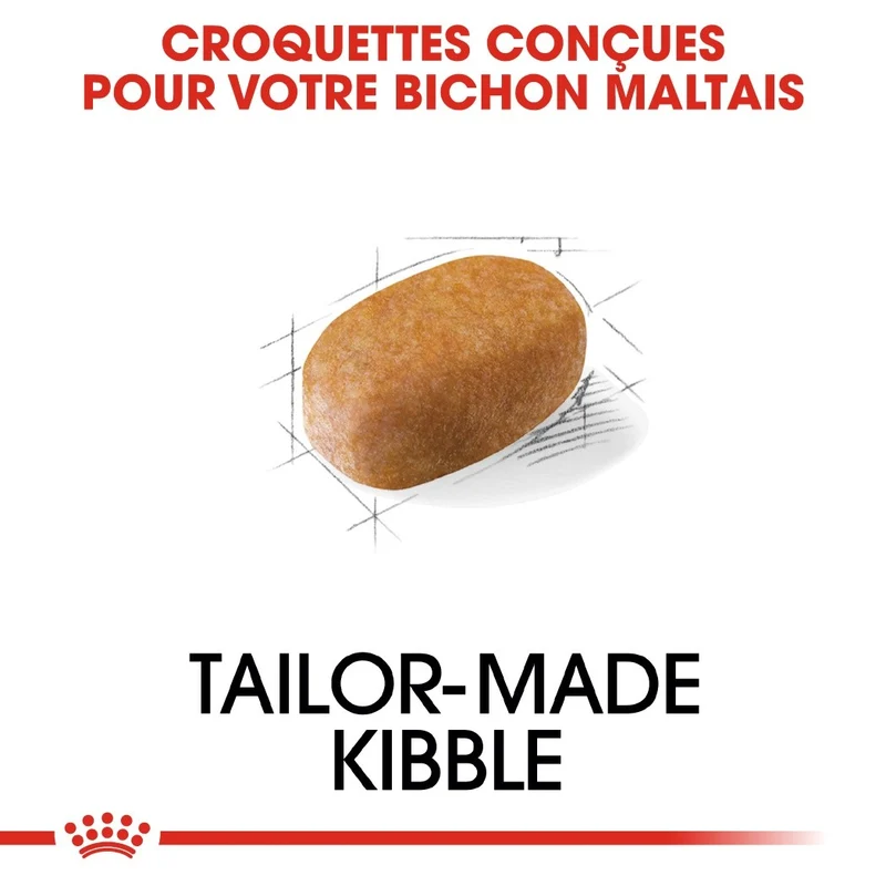 Royal Canin Bichon Maltais Adult
