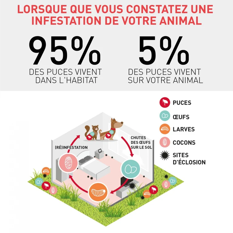 Frontline Spray chien et chat