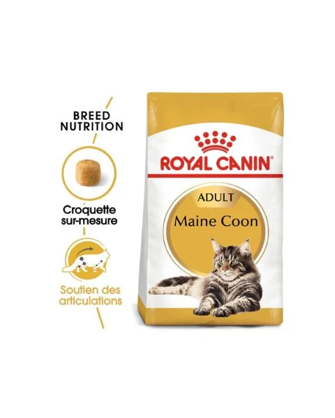 Royal Canin Maine Coon Adult - Croquettes pour chat