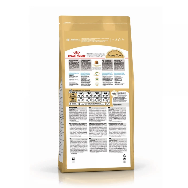 Royal Canin Maine Coon Adult - Croquettes pour chat