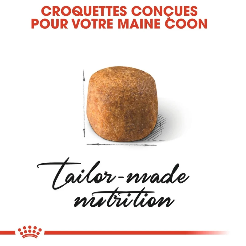 Royal Canin Maine Coon Adult - Croquettes pour chat