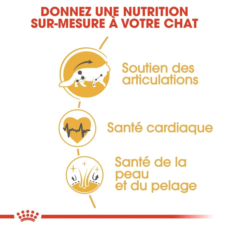 Royal Canin Maine Coon Adult - Croquettes pour chat