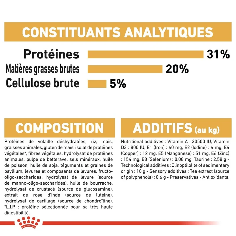 Royal Canin Maine Coon Adult - Croquettes pour chat