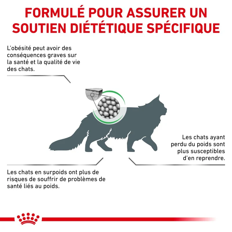 Royal Canin Veterinary Health Nutrition Chat Satiety Weight Mgt