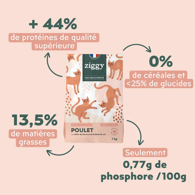 Ziggy Chat Adulte Stérilisé Poulet