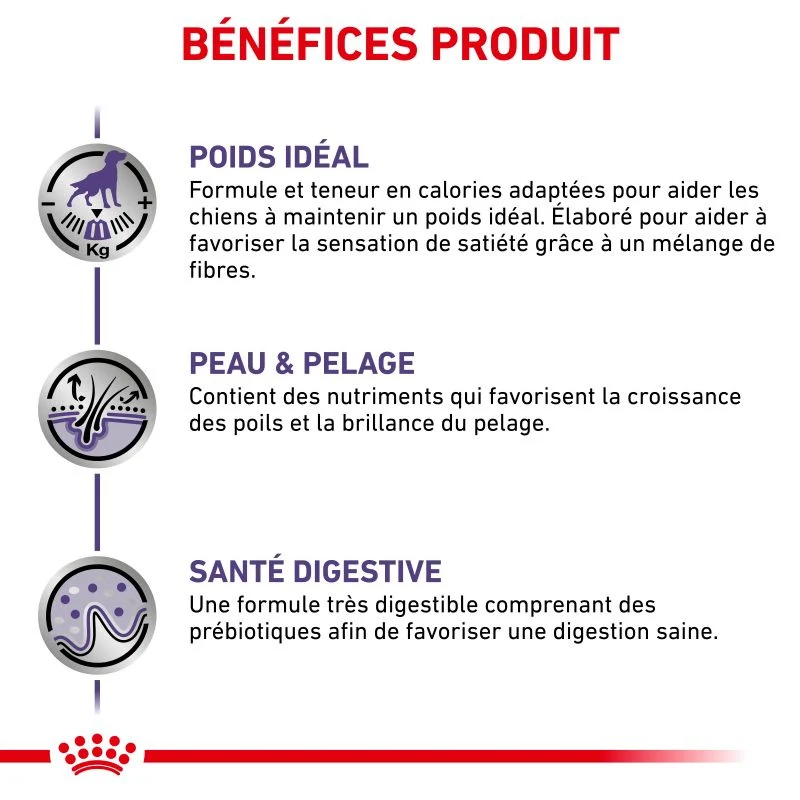 Royal Canin Ehn Chien Neutered Adulte Medium