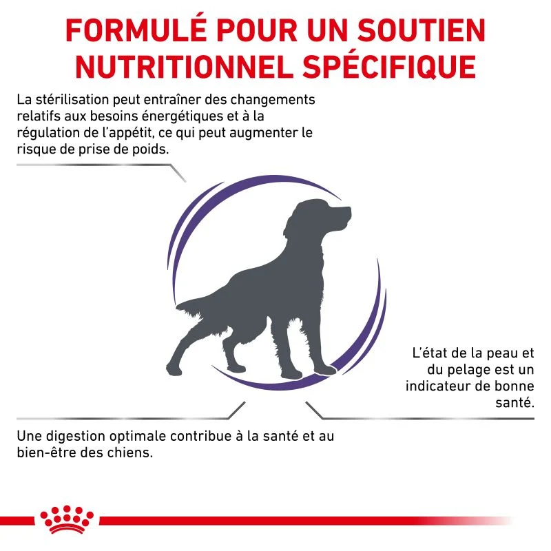 Royal Canin Ehn Chien Neutered Adulte Medium