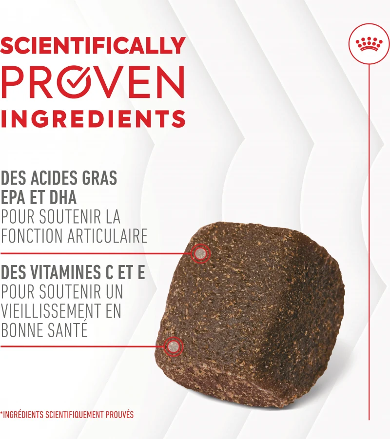 Aliment complémentaire Joint & Ageing Chews pour chien