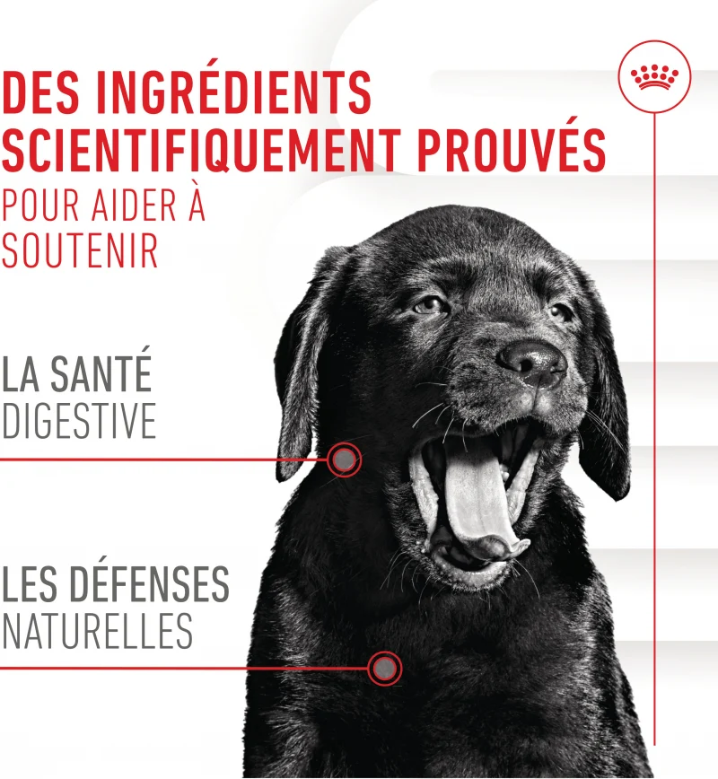 Aliment Complémentaire Puppy Immunity & Digestion Chews pour chiot