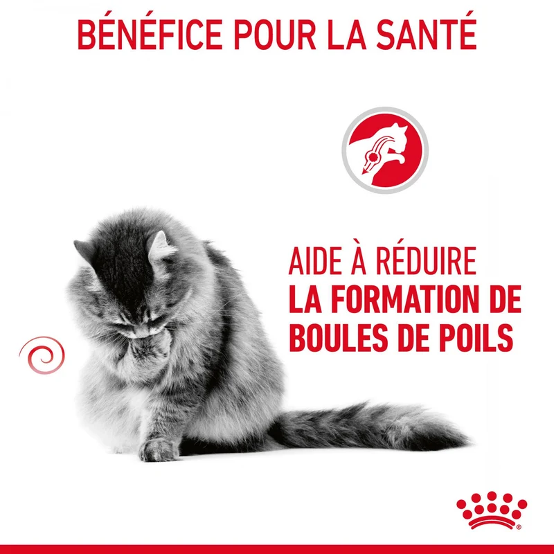 Royal Canin Hairball Care - Croquettes pour chat
