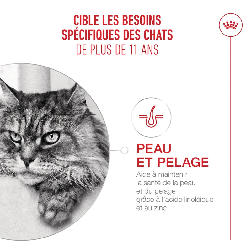Royal Canin Ageing 11+ - Croquettes pour chat