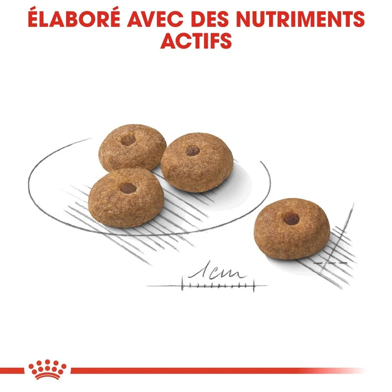 Royal Canin Mini Sterilised - Croquettes pour chien