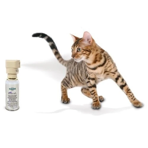 Spray Ssscat