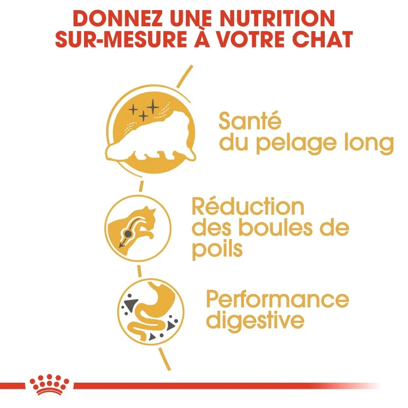 Royal Canin Persian Adult - Croquettes pour chat