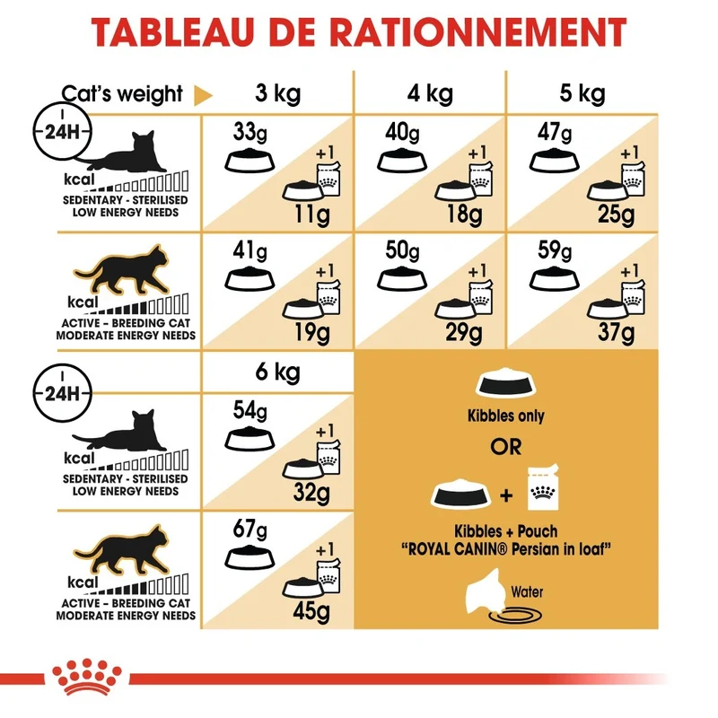 Royal Canin Persian Adult - Croquettes pour chat