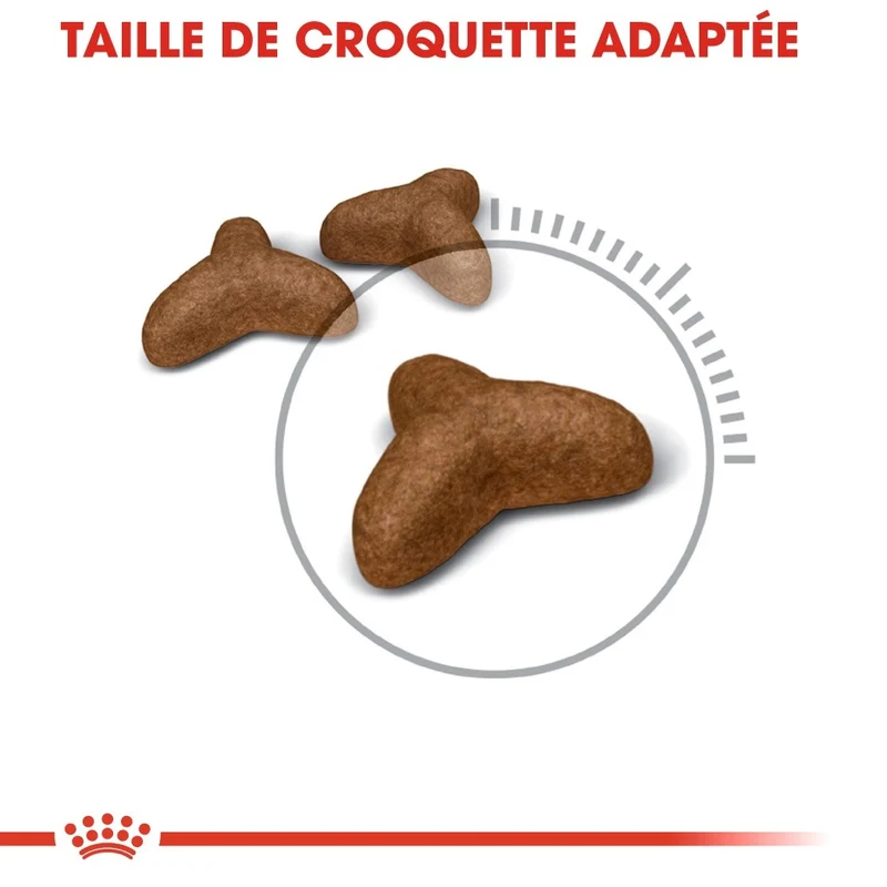 Royal Canin Light Weight Care Adult - croquettes pour chat