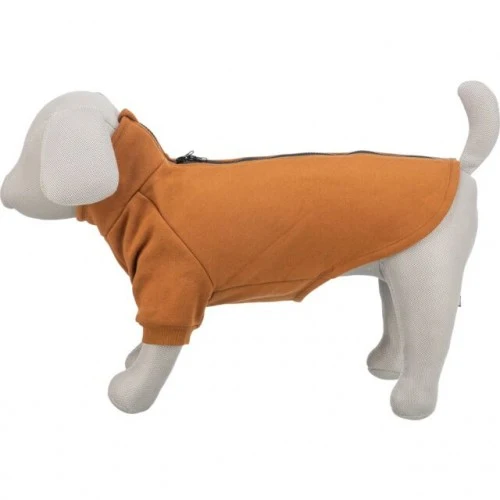 Sweat CityStyle Amsterdam - Orange rouille