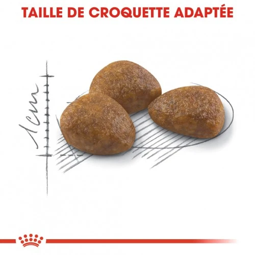 Royal Canin Outdoor 7+