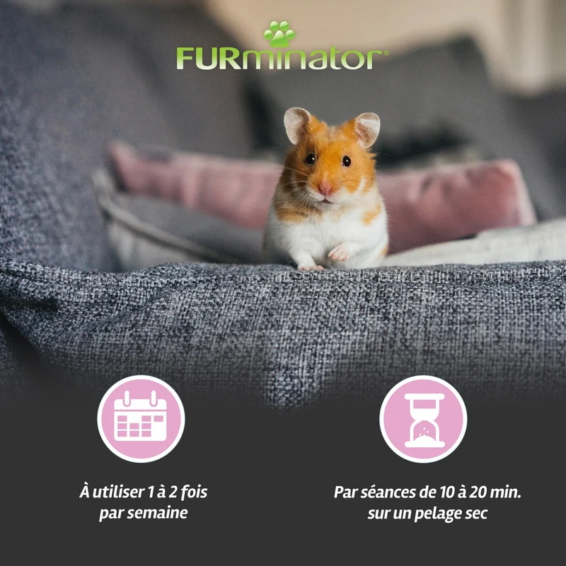 Brosse anti-mue pour petits animaux