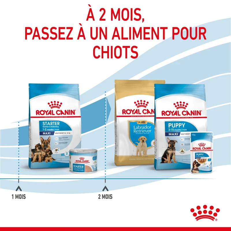 ROYAL CANIN Starter Maxi Mother & Babydog - Croquettes pour chiot