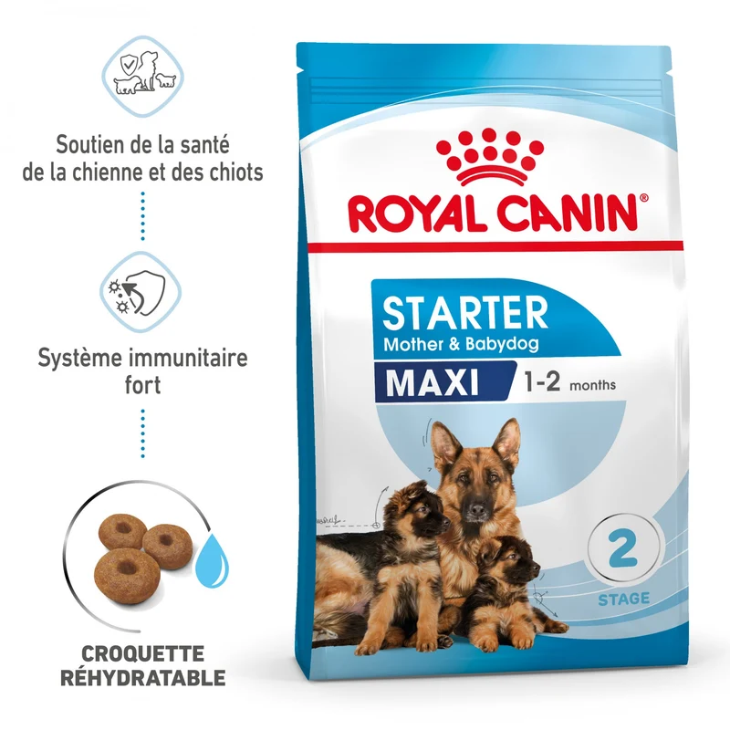 ROYAL CANIN Starter Maxi Mother & Babydog - Croquettes pour chiot