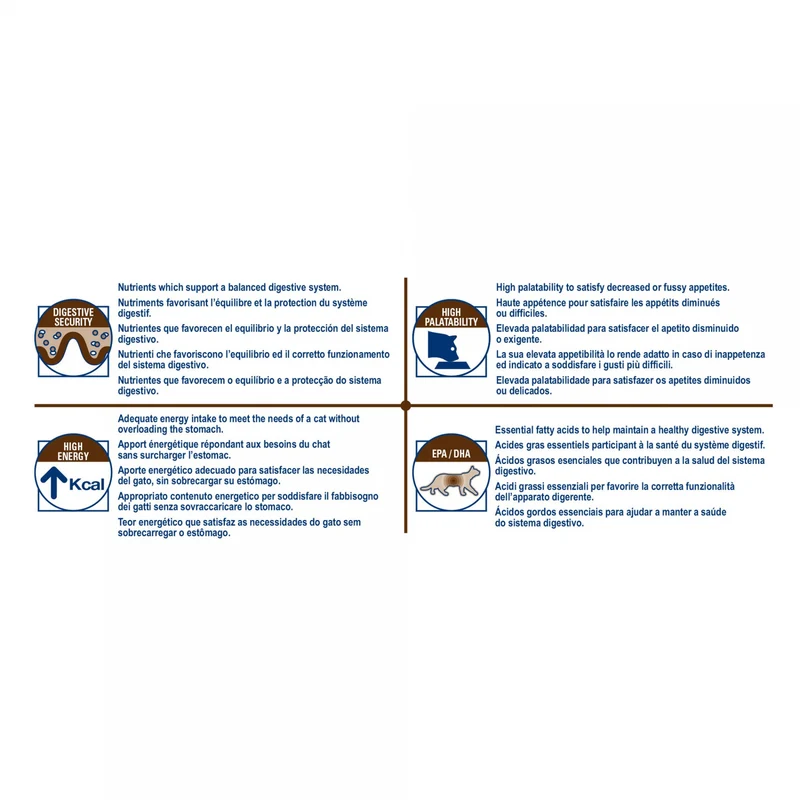 Royal Canin Veterinary Gastrointestinal - Pour chat