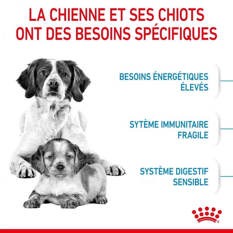 Royal Canin Medium Starter