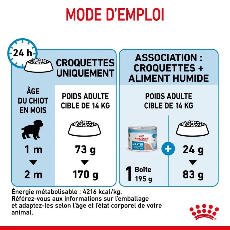 Royal Canin Medium Starter