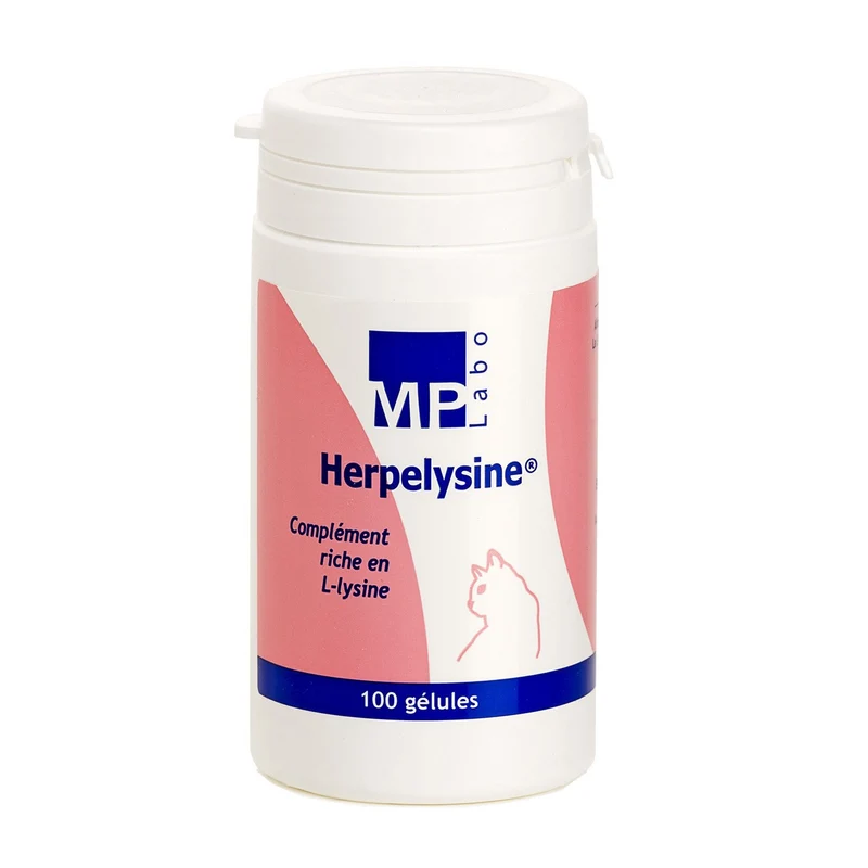 Lysine MP