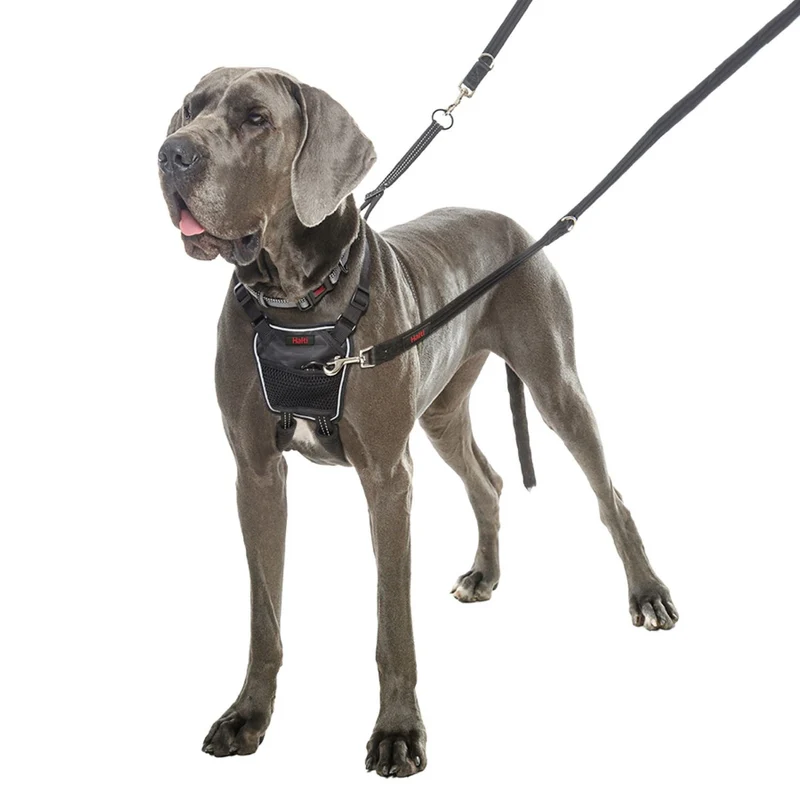 diffuseur-petscool