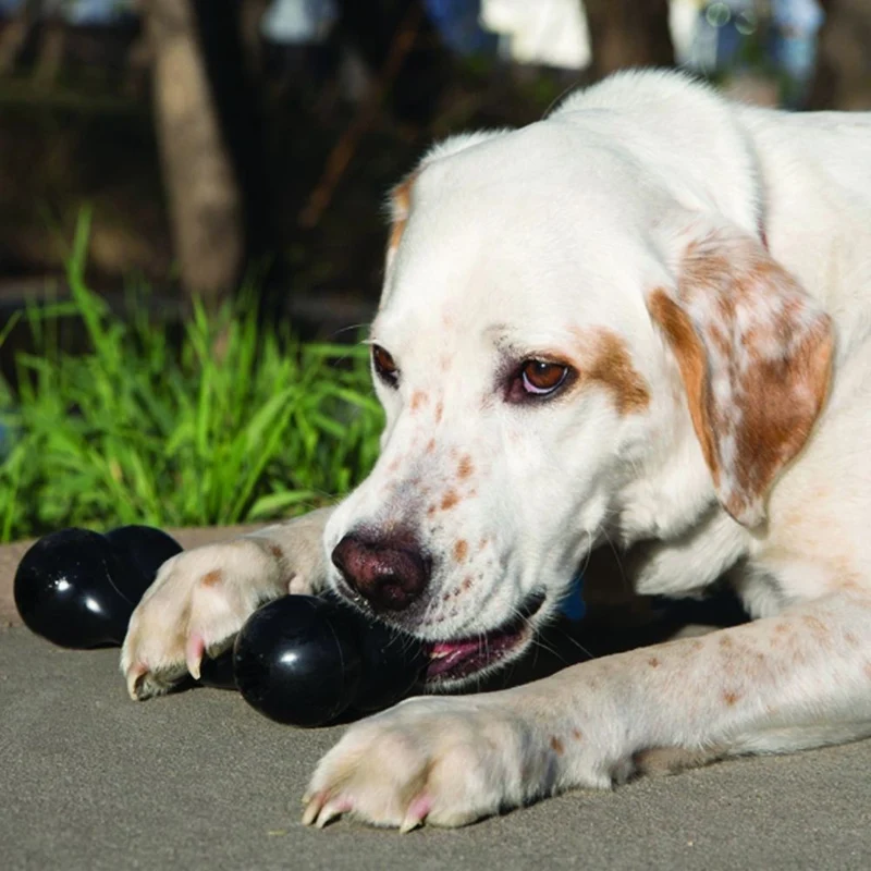 Os Extreme Goodie Bone KONG - Jouet à mâcher ultra résistant pour chien