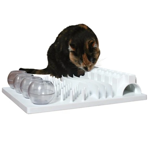 Jout éducatif Fun Board