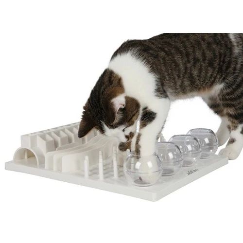 Jout éducatif Fun Board