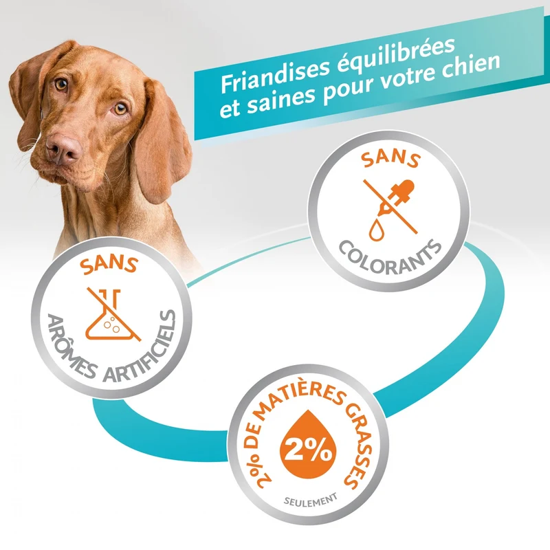 Os à mâcher Delights Pro, contre la plaque dentaire