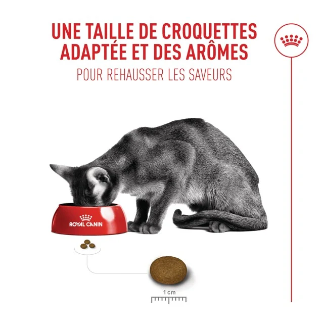 Royal Canin Fussy