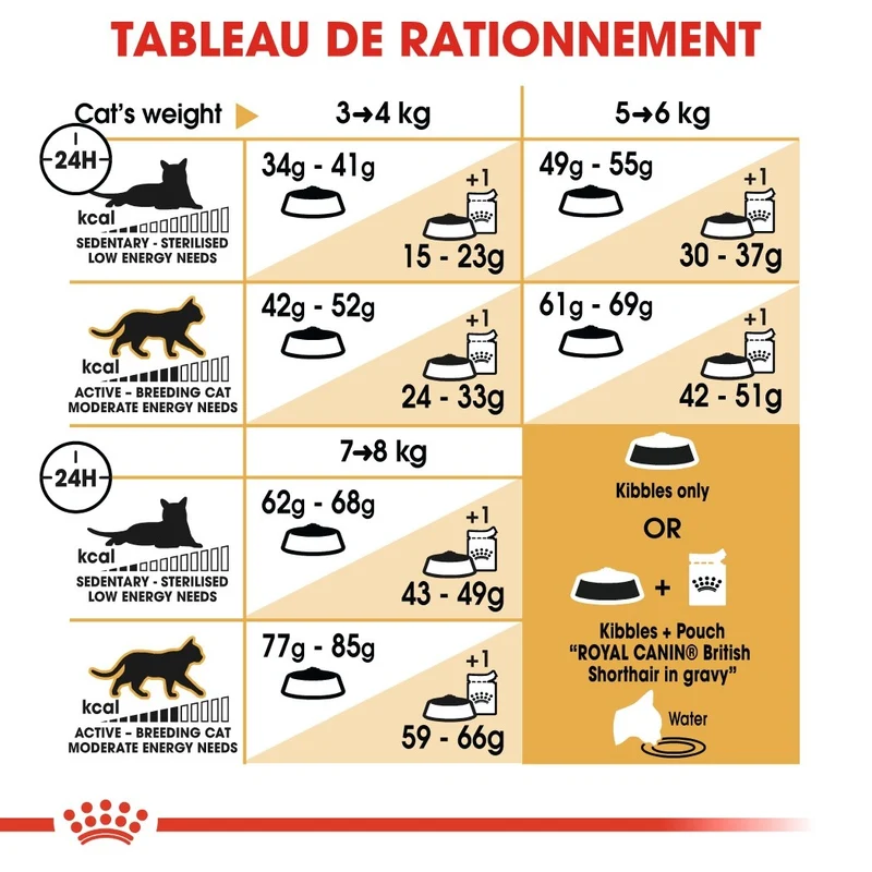 Royal Canin British Shorthair Adult