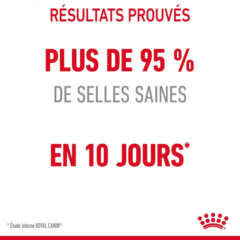 ROYAL CANIN Digestive Care – Croquettes pour chat