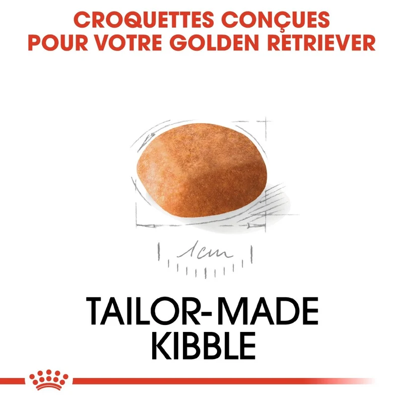 Royal Canin Golden Retriever Puppy - Croquettes pour chiot