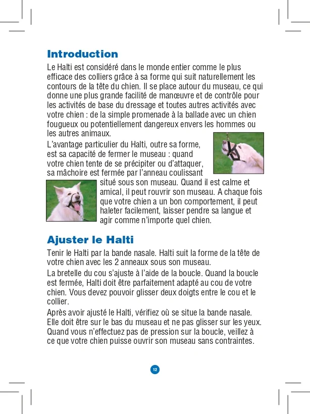 Licol Halti
