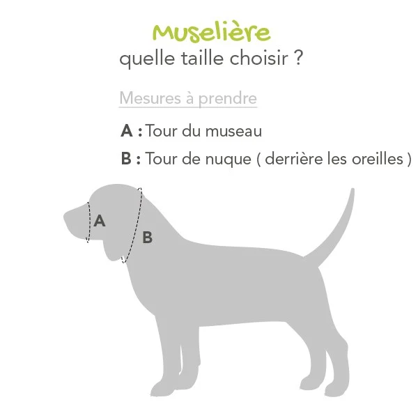 Muselière de dressage rembourrée