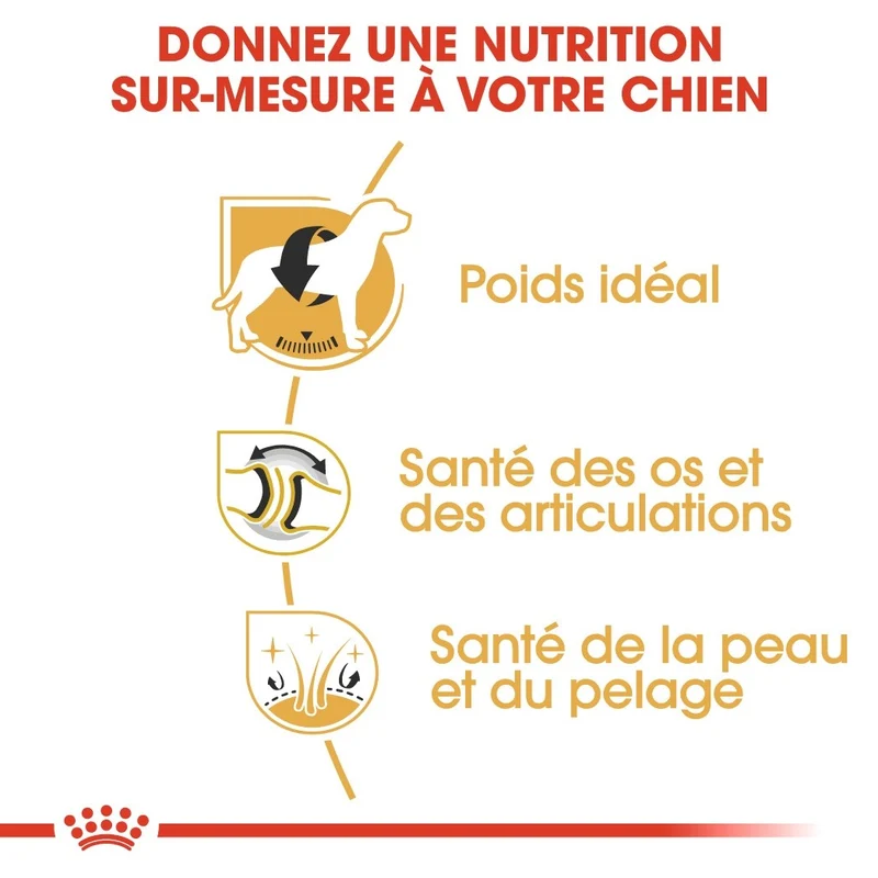 Royal Canin Labrador Retriever Adult - Croquettes pour chien