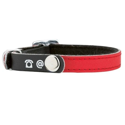 Collier porte-adresse réfléchissant