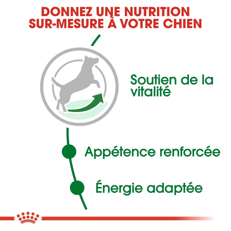 Royal Canin Mini Adult 8+ - Croquettes pour chien