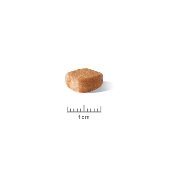 Royal Canin Yorkshire Terrier Puppy - Croquettes pour chiot