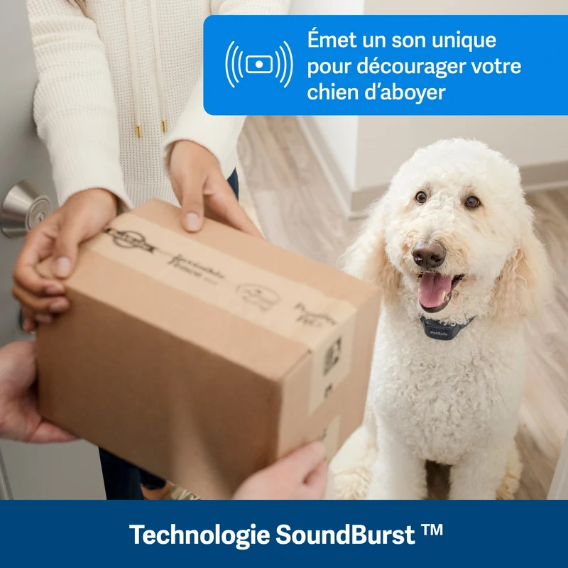 Collier anti-aboiement à signal sonore rechargeable