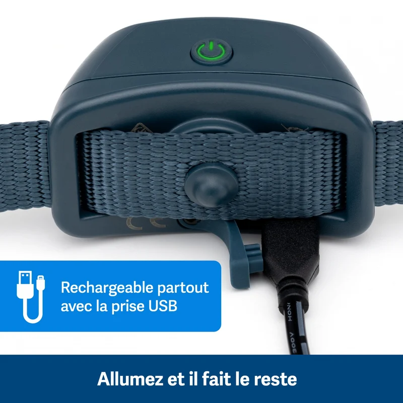 Collier anti-aboiement à signal sonore rechargeable