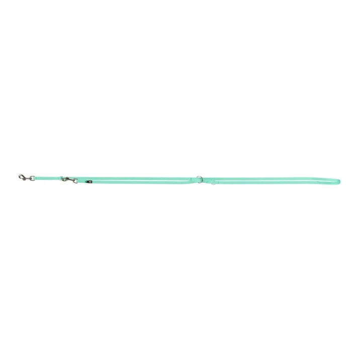 Laisse Premium réglable - Vert Menthe