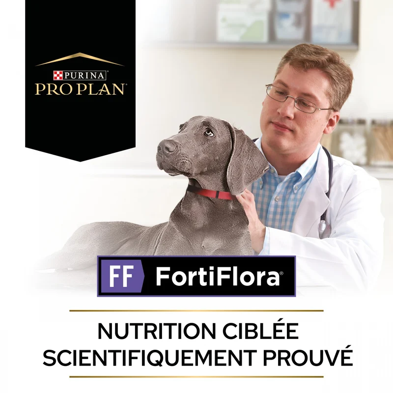 Pro Plan FortiFlora en Bouchées - Probiotiques pour chien-Réapprovisionnement laboratoire fin juillet