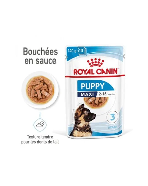 Royal Canin Maxi Puppy en Sauce - Pâtée pour chiot
